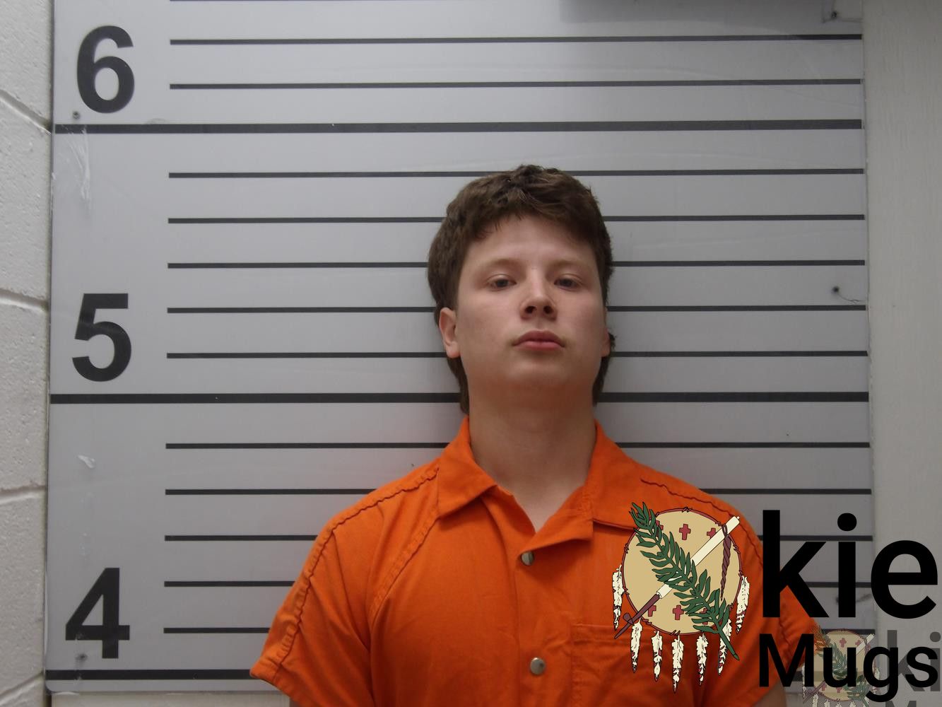 Booking photo of STEVE SHELL