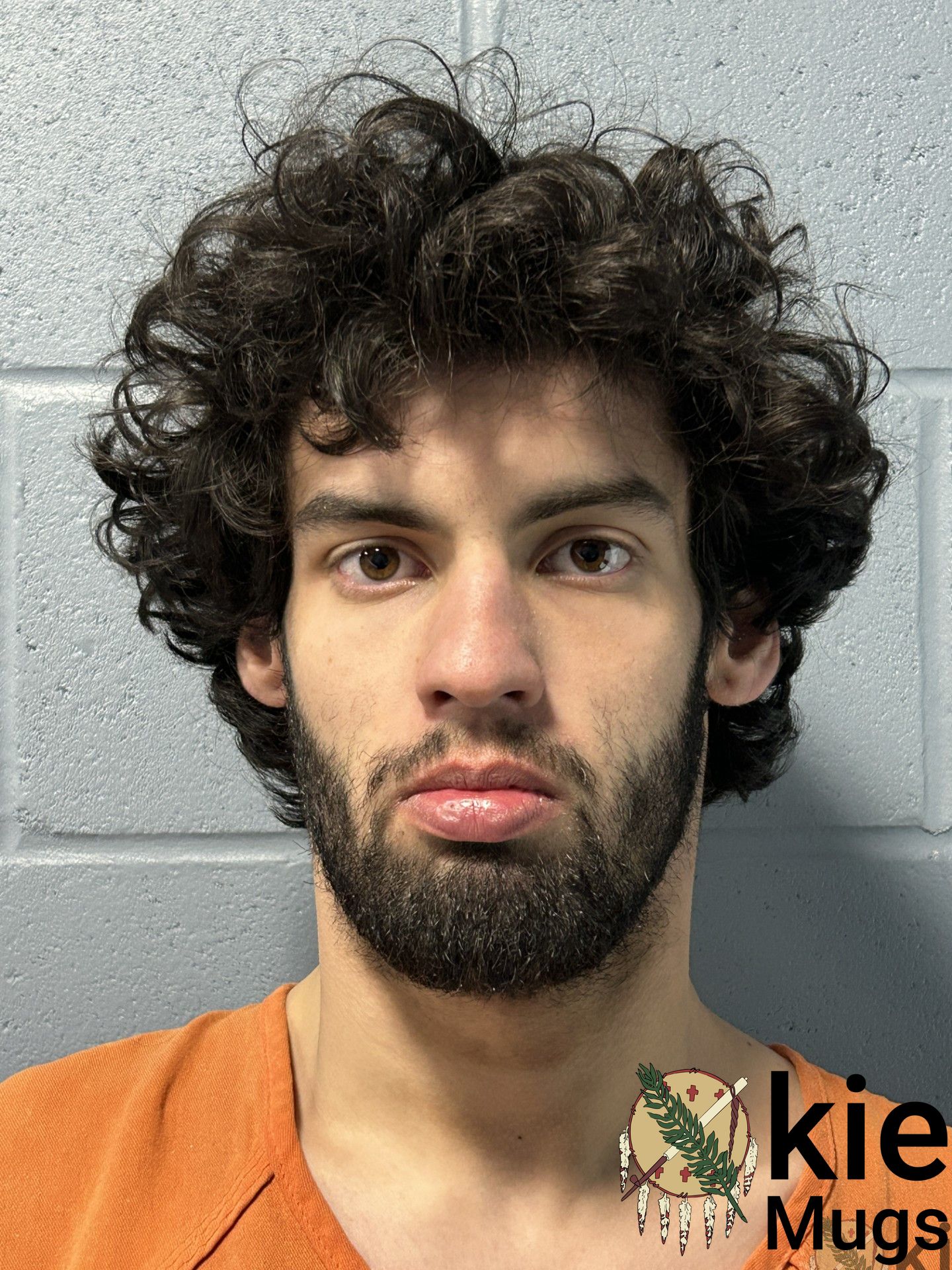 Booking photo of Aiden Burns