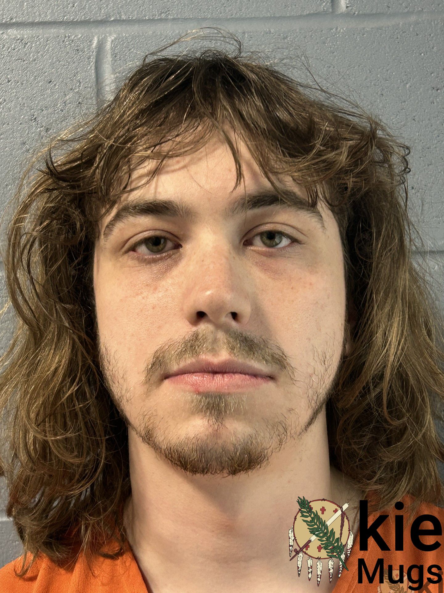 Booking photo of DEVAN BRAMHALL