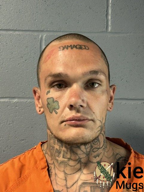 Booking photo of Tayler Browning