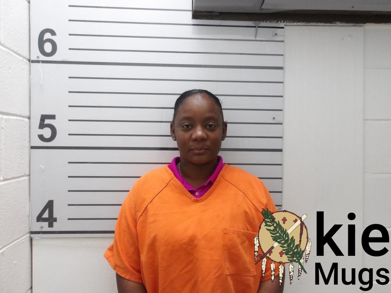 Booking photo of Michelle Nicole Anderson