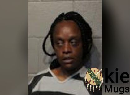 Booking photo of Ashley Nicole Gaines