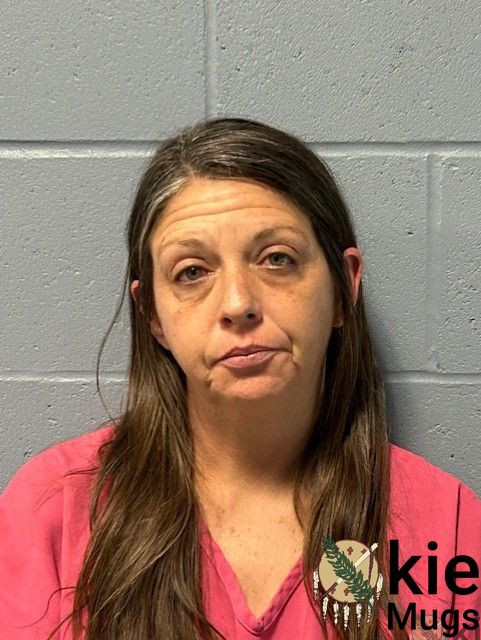 Booking photo of CALINA GILLISPIE