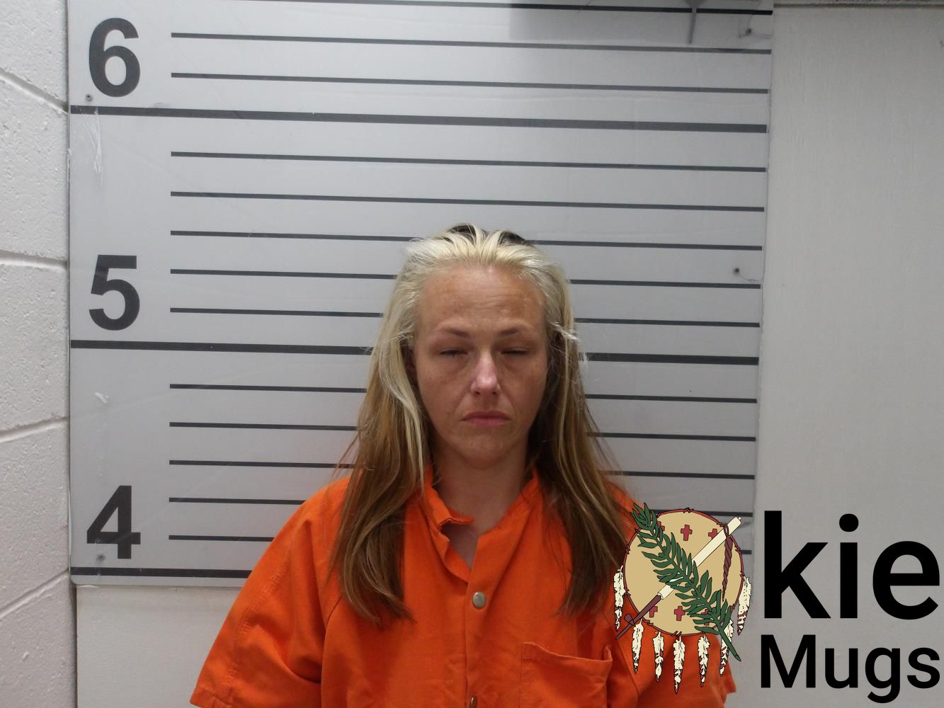 Booking photo of Vanessa Leann Sims