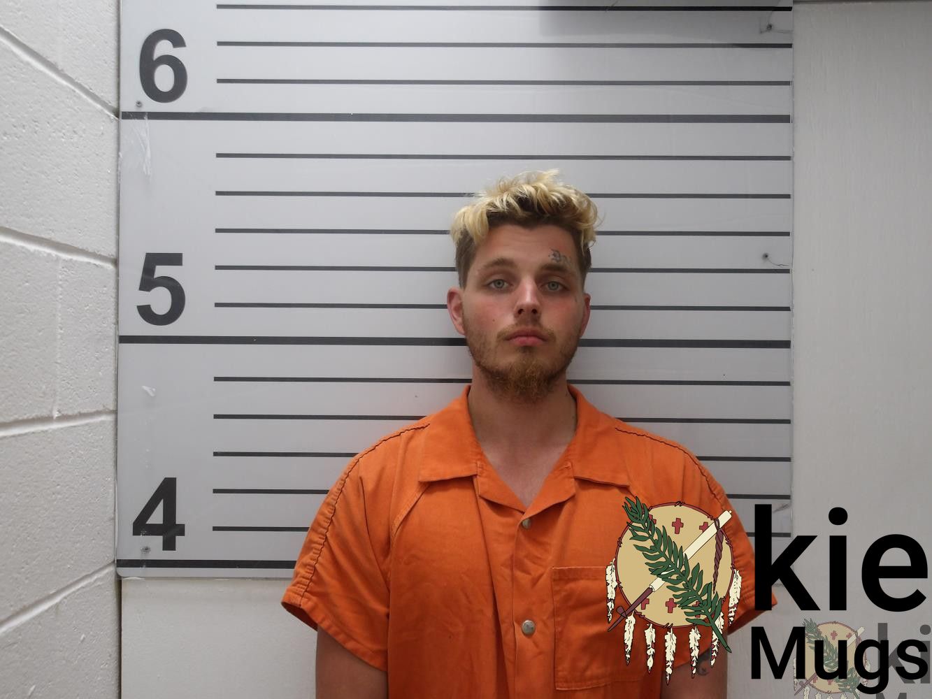 Booking photo of DOMINICK LEE RAVEN