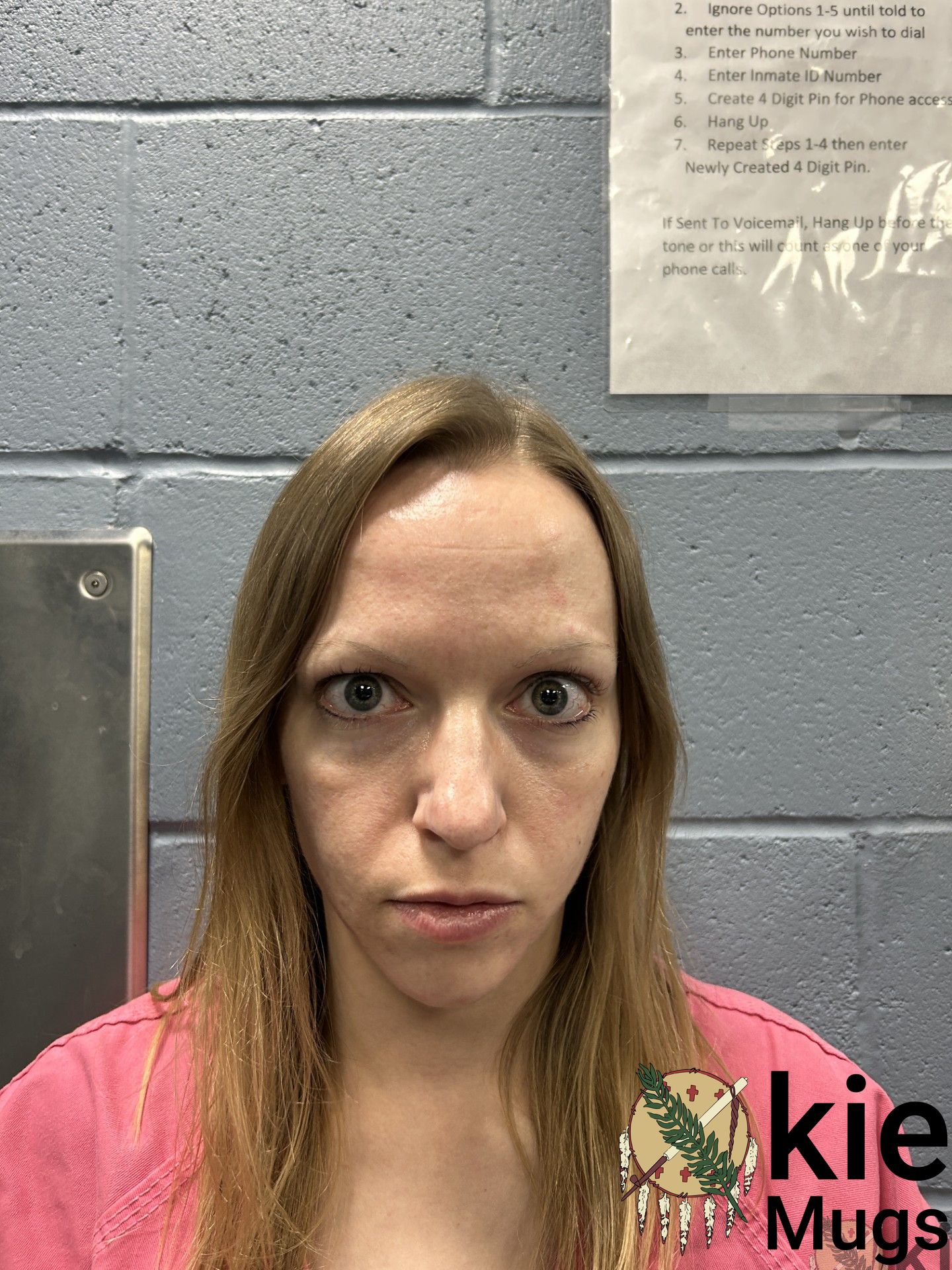 Booking photo of Jessica Strickland