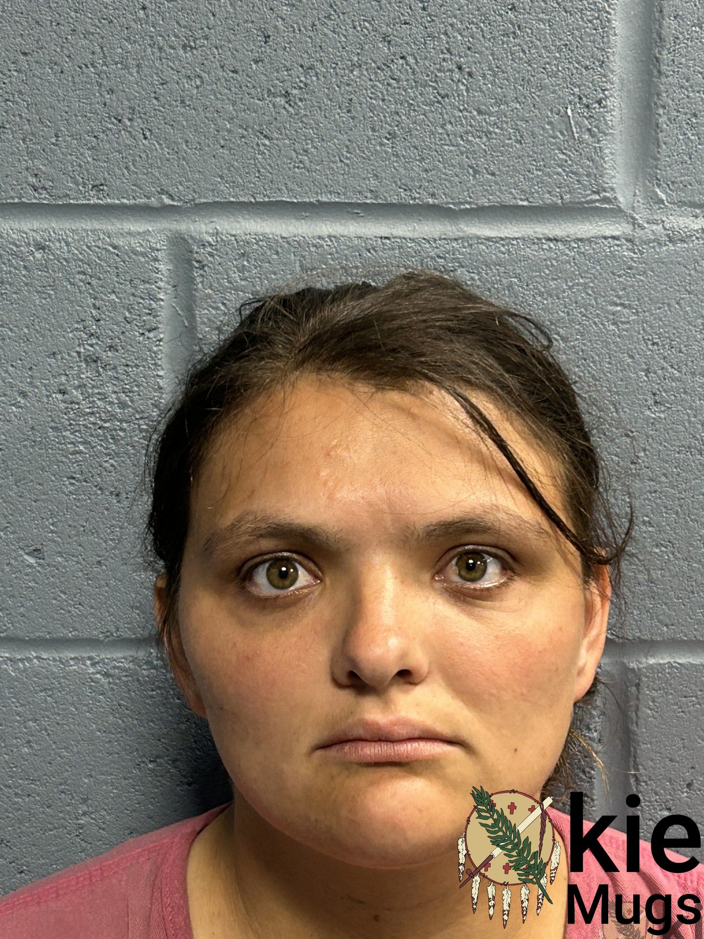 Booking photo of DANIELLE LOFTON
