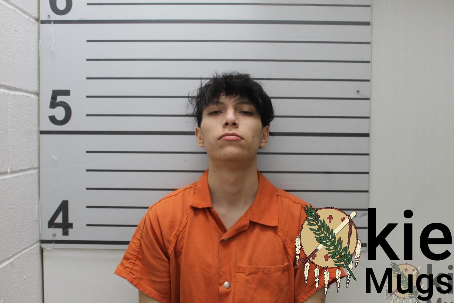 Booking photo of ARMANDO (CREEK) HERRERA