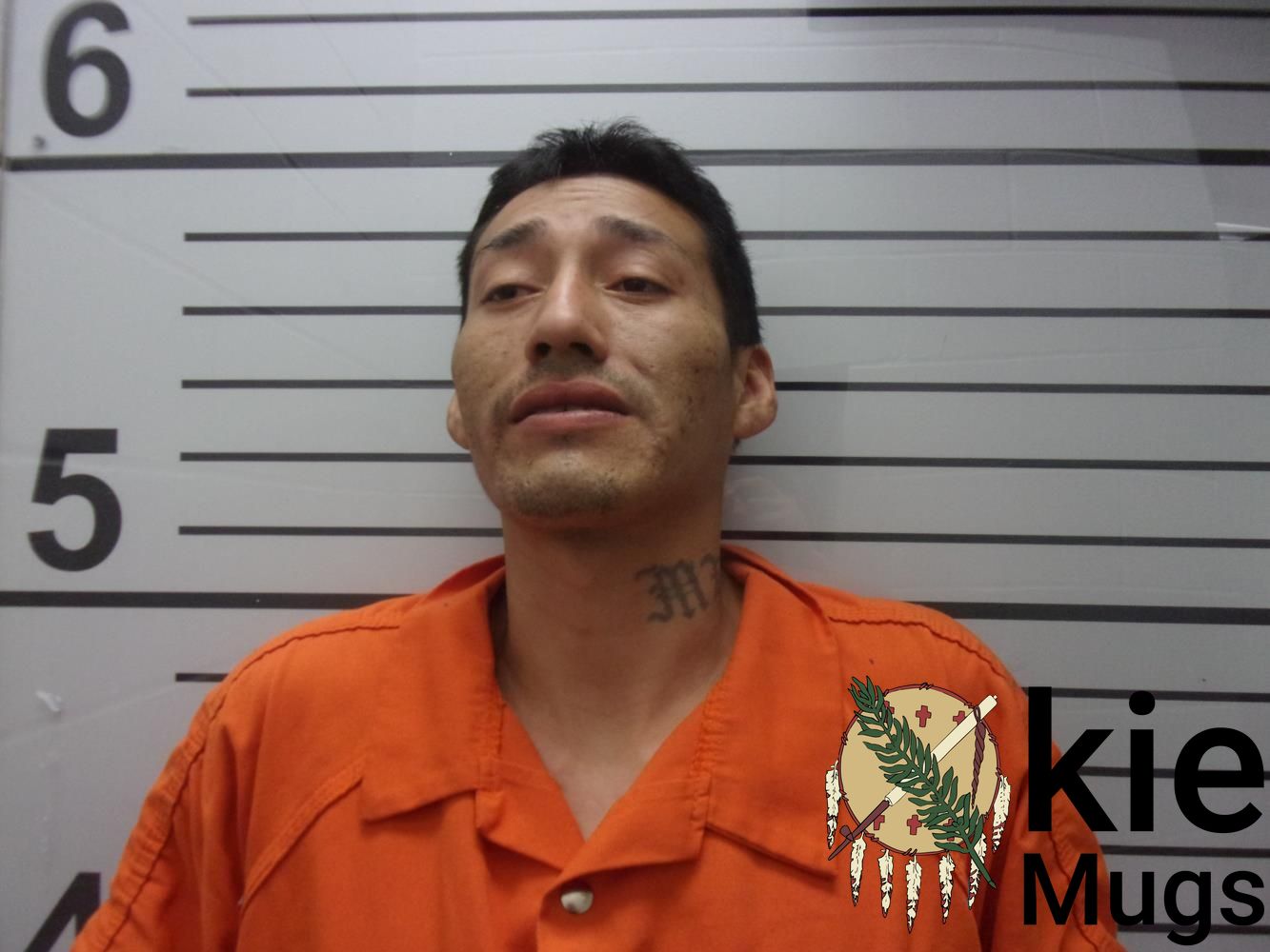 Booking photo of MATTHEW JOHNSON
