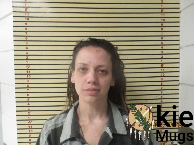 Booking photo of HAILEY FIELDEN