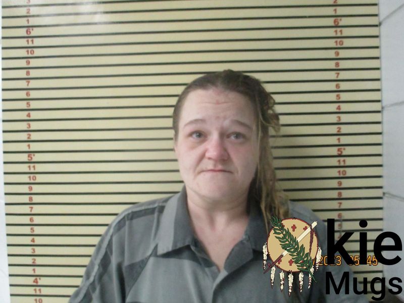 Booking photo of HEATHER PIERSON