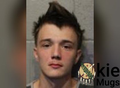 Booking photo of Presley Wayne Hawkins