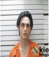 Booking photo of AUSTIN LEE SNOW