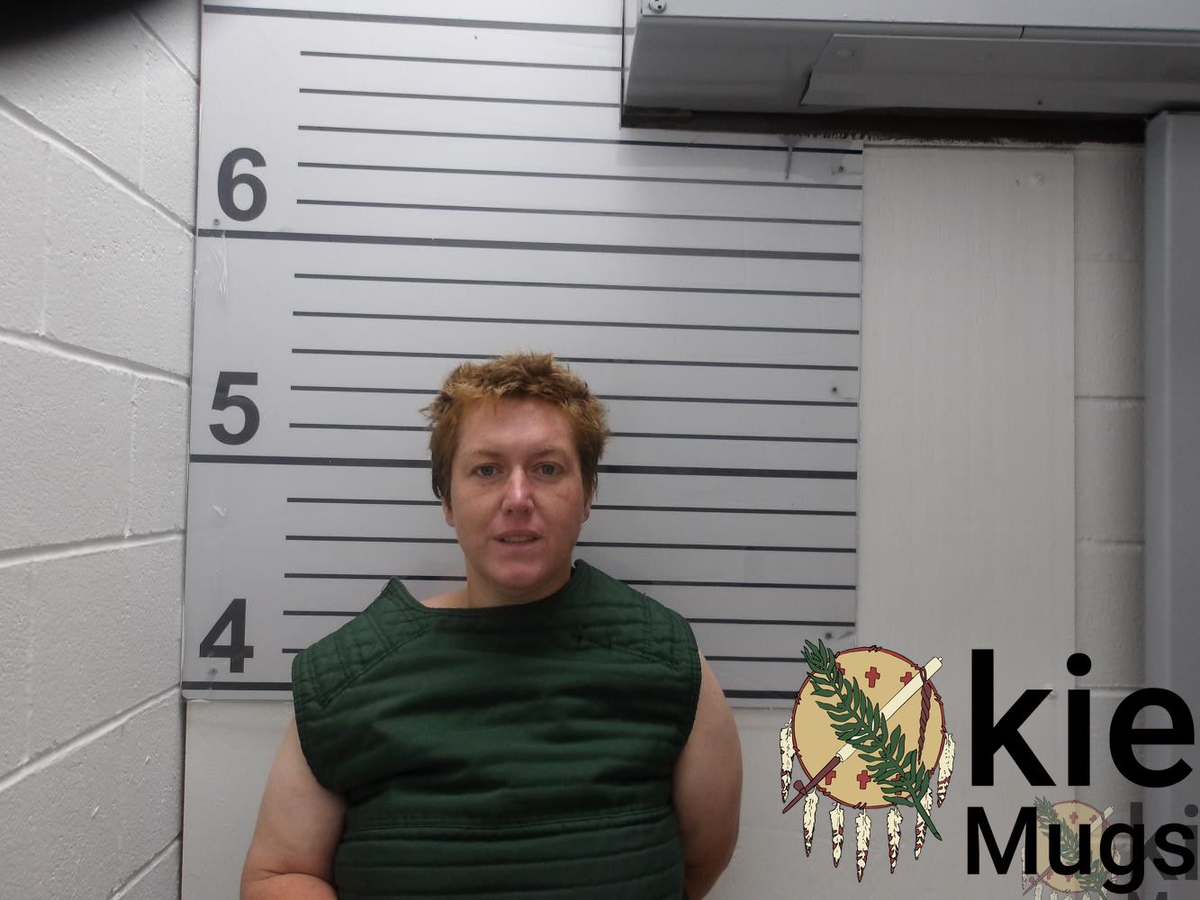 Booking photo of Ashley Paulette Hendricks