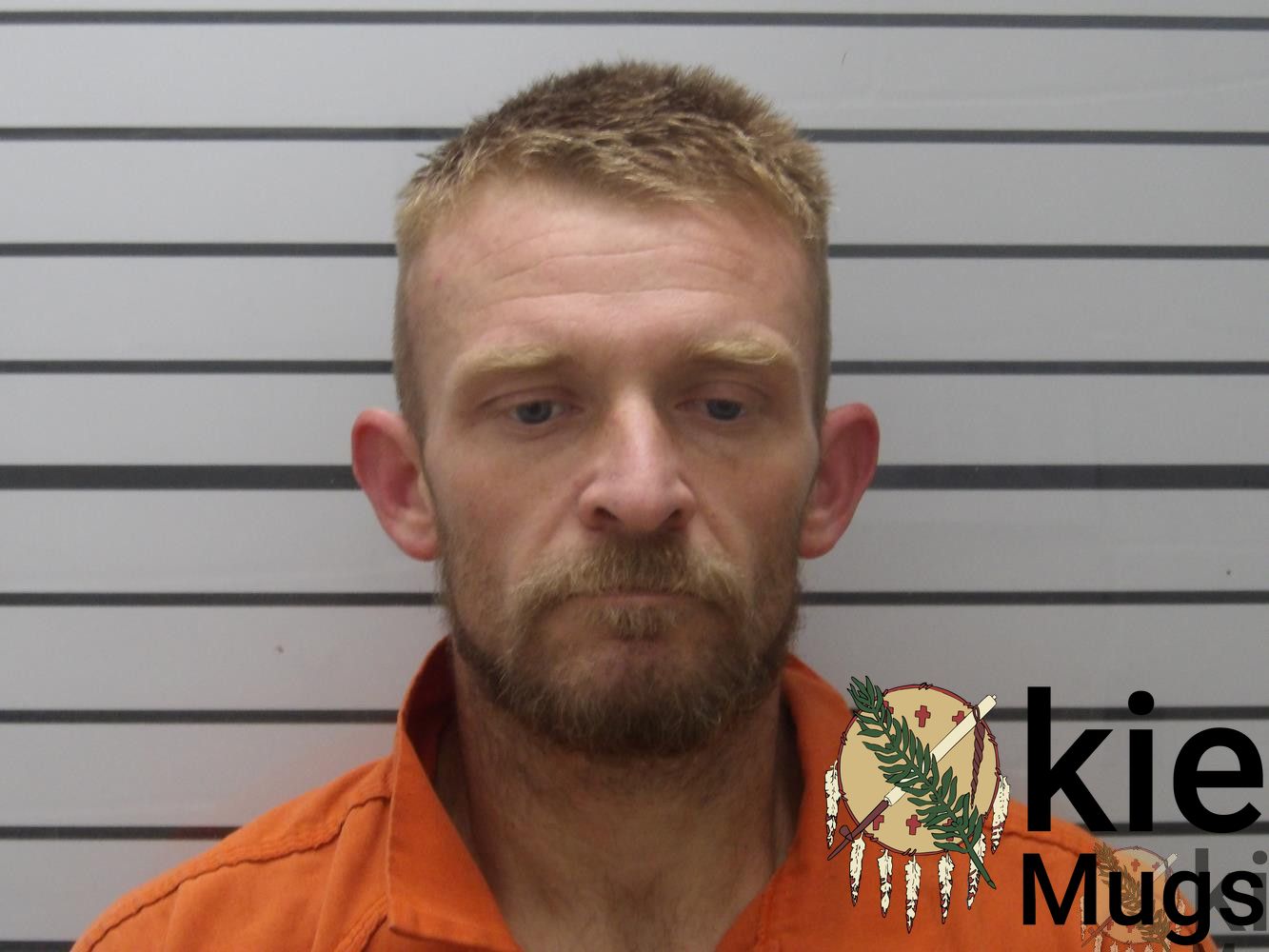 Booking photo of TROY DALE WISEMAN