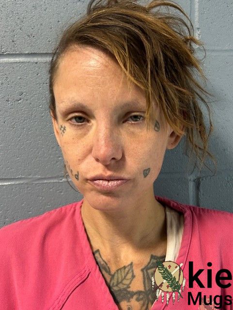 Booking photo of CHELSEA STOKES