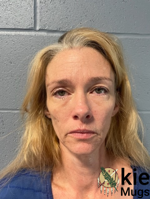 Booking photo of DANA HARRIS