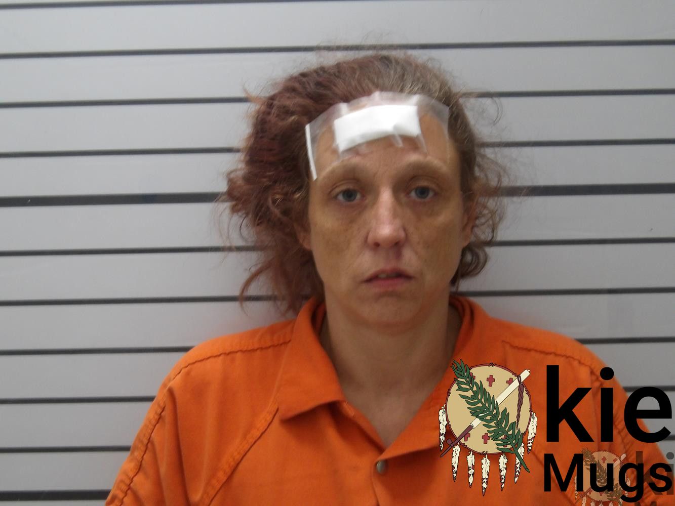 Booking photo of Paige Judith Foss