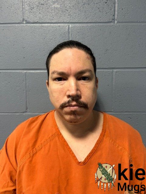Booking photo of ROBERT RICHARDSON