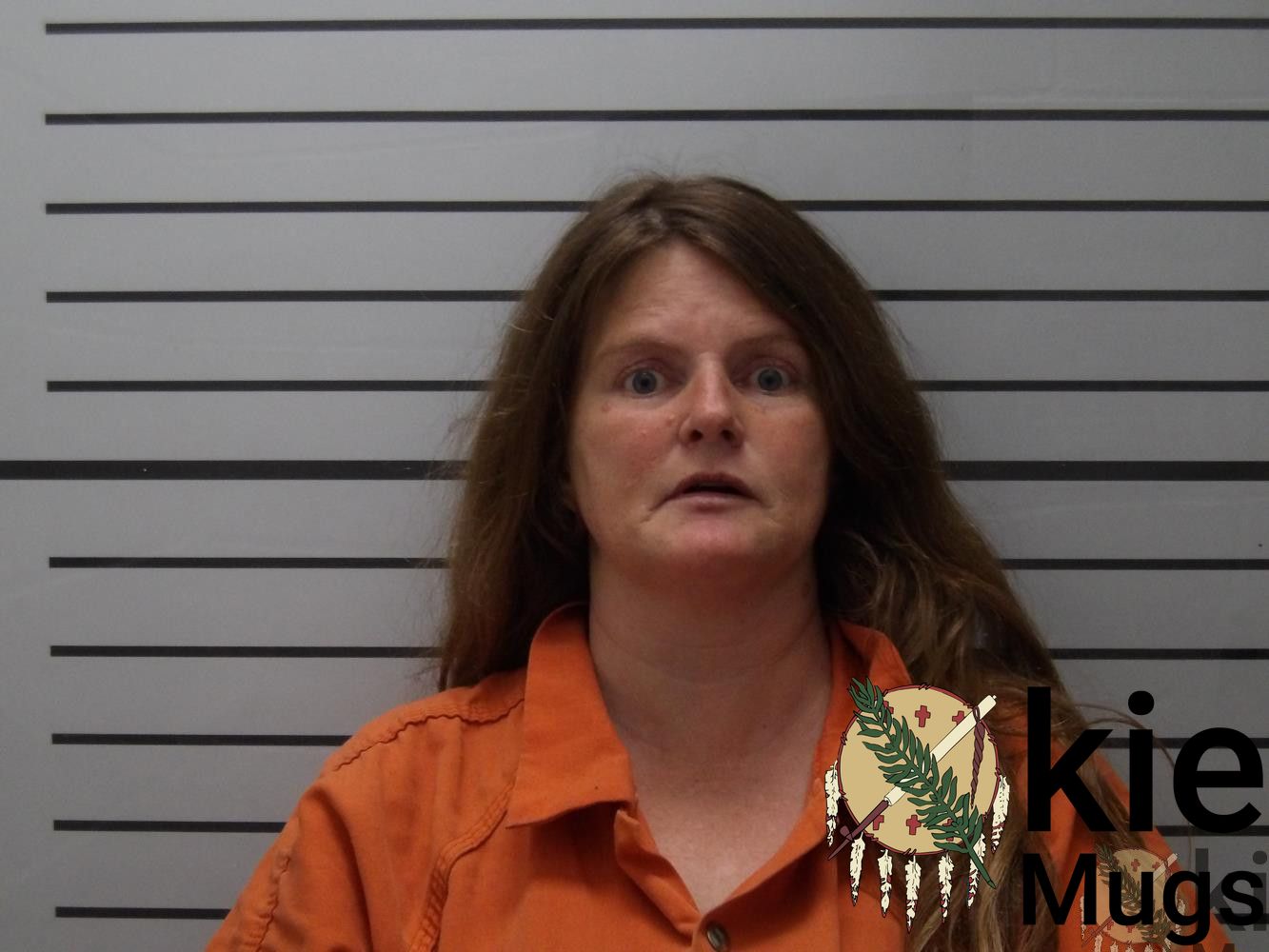 Booking photo of JOY ANN LAVERTY