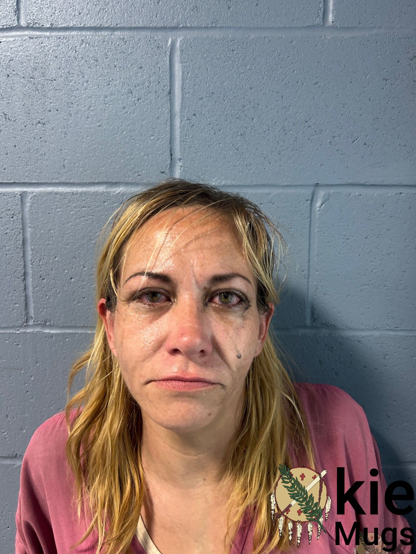 Booking photo of MEGAN JACKSON