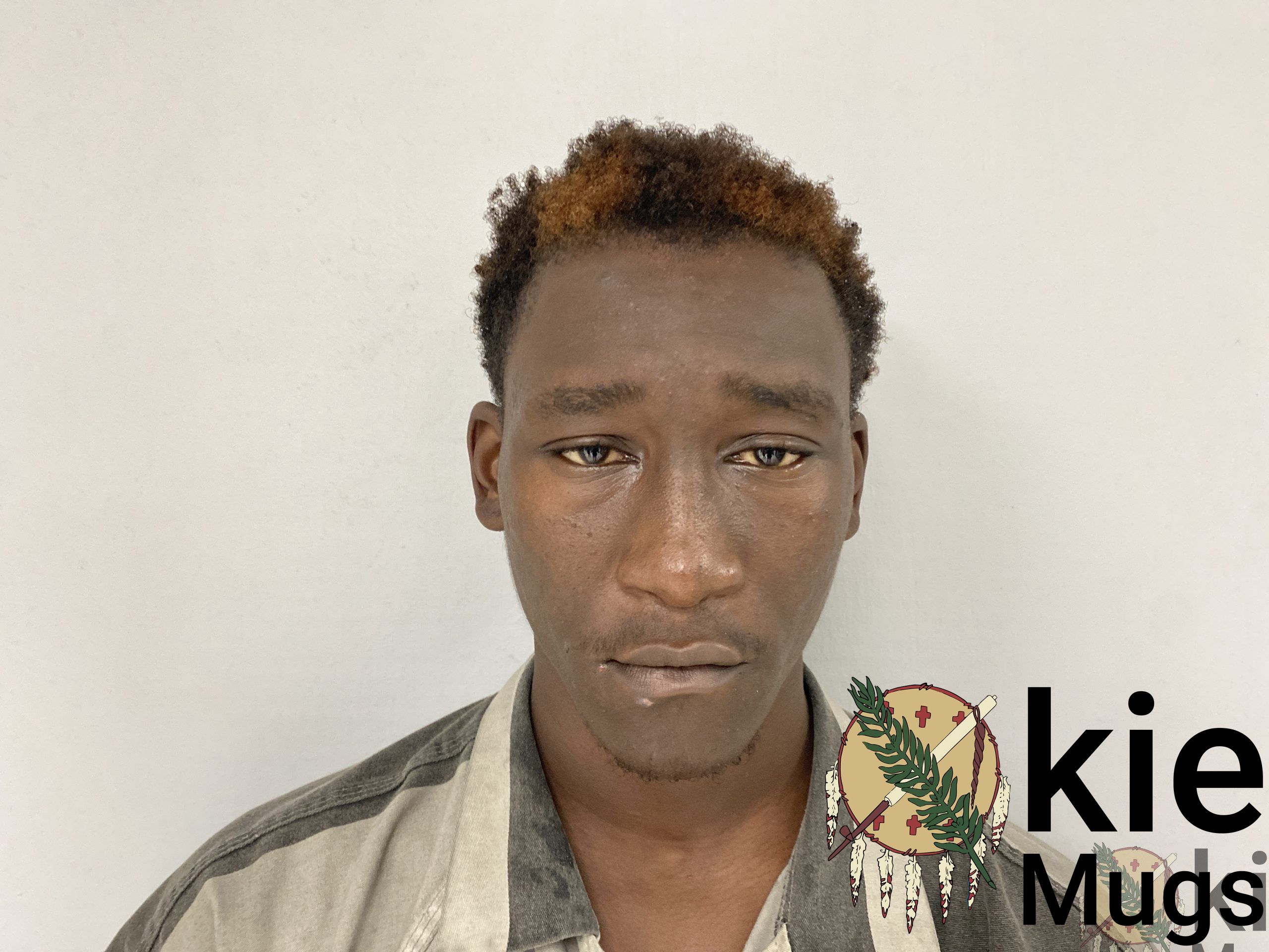 Booking photo of Gaebrial Johnson