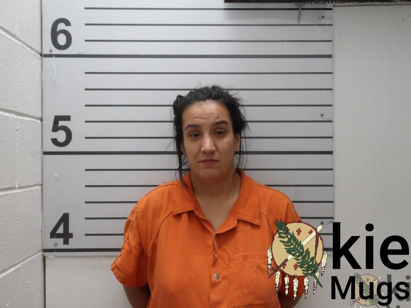 Booking photo of Melissa Renee Welch