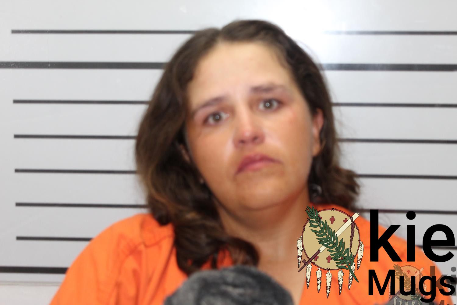 Booking photo of Angelica Maria Silence
