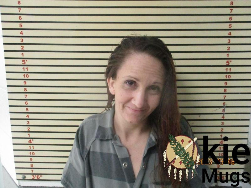 Booking photo of BRANDI HAUN