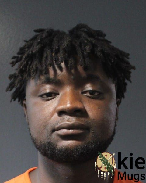 Booking photo of Fnu Dilande Gima Ndam