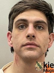 Booking photo of JAMES SCOTT DILLION