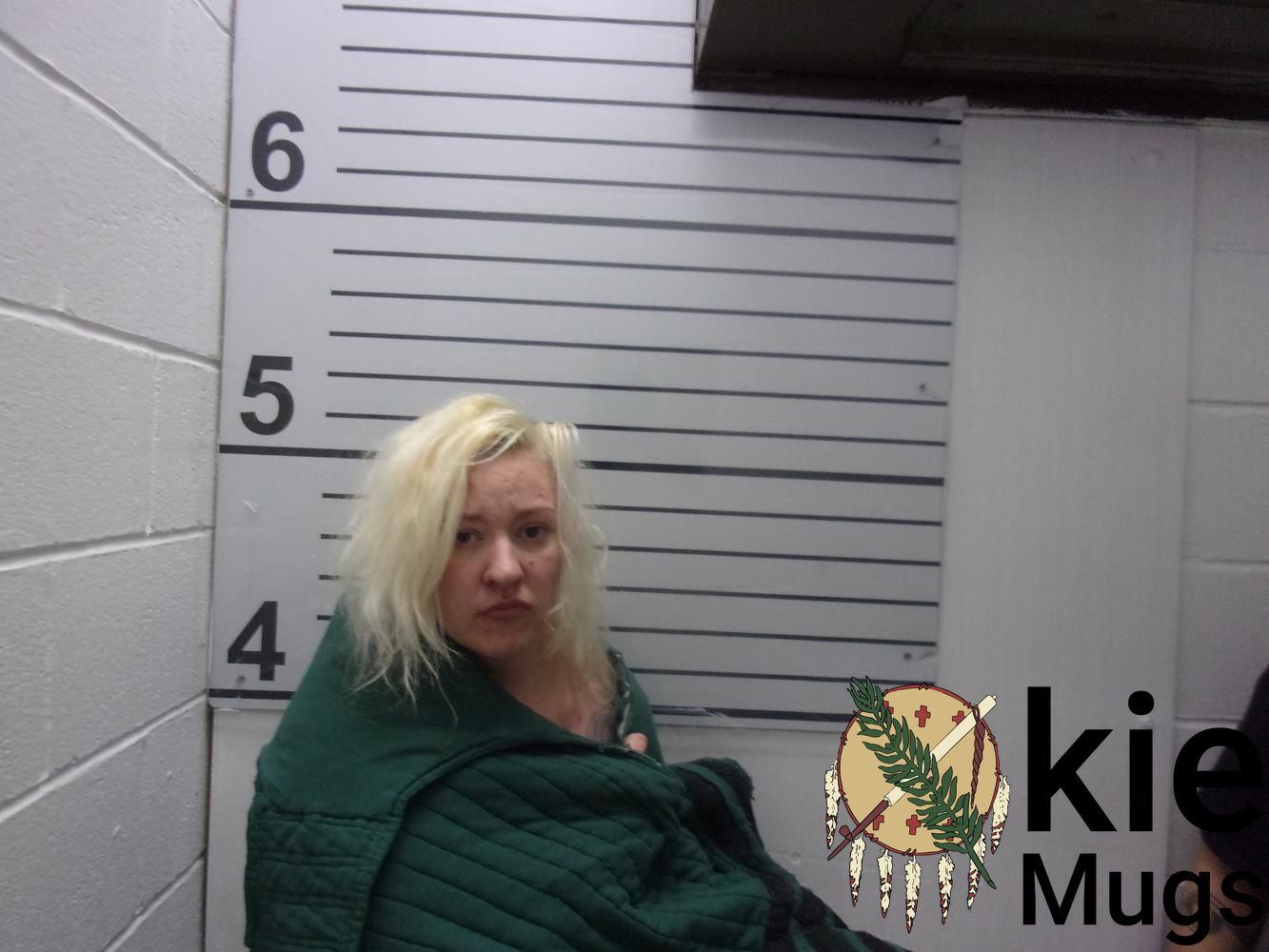 Booking photo of ASHLEY BRANTLEY
