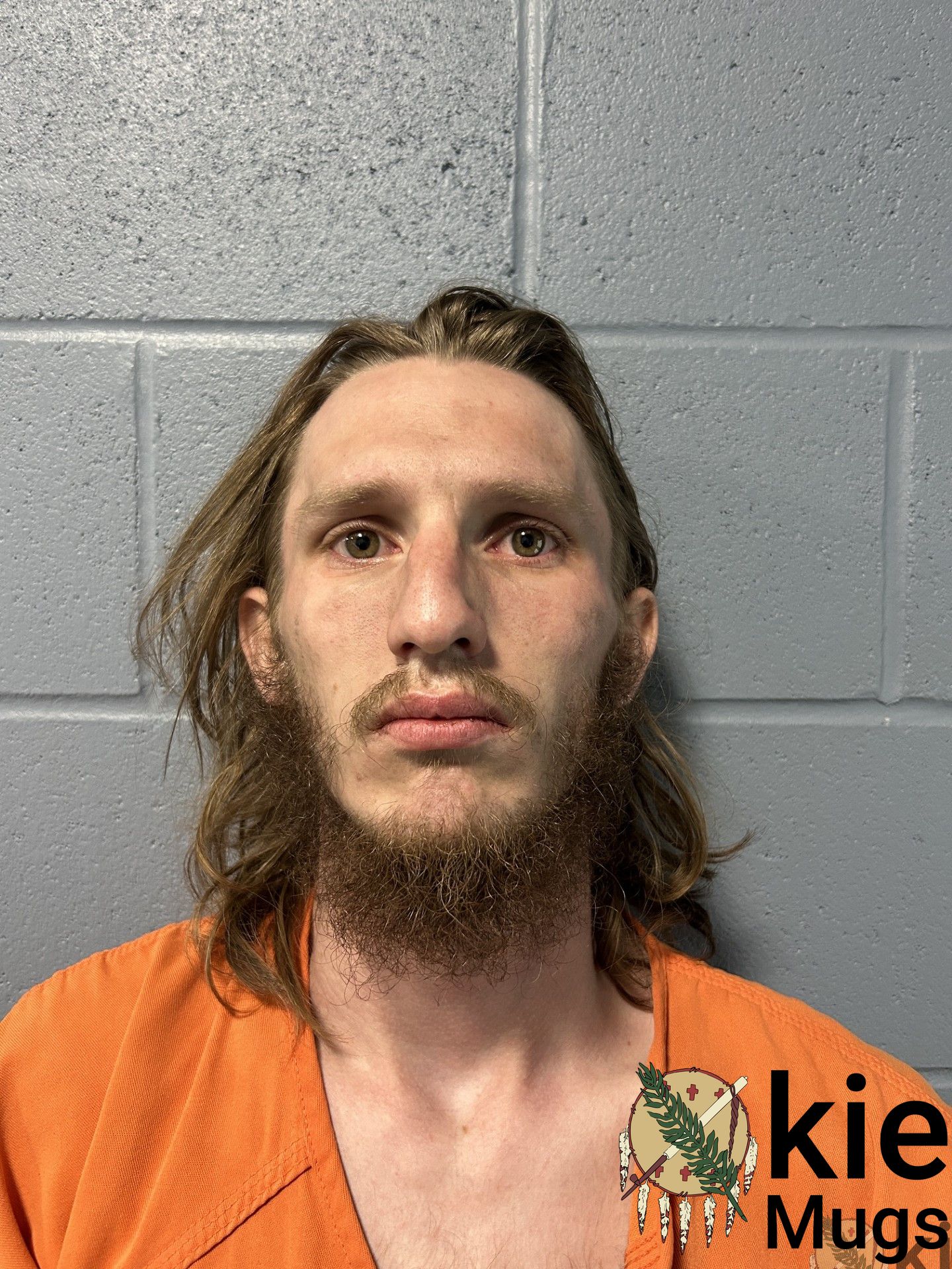 Booking photo of Braydon Watrous