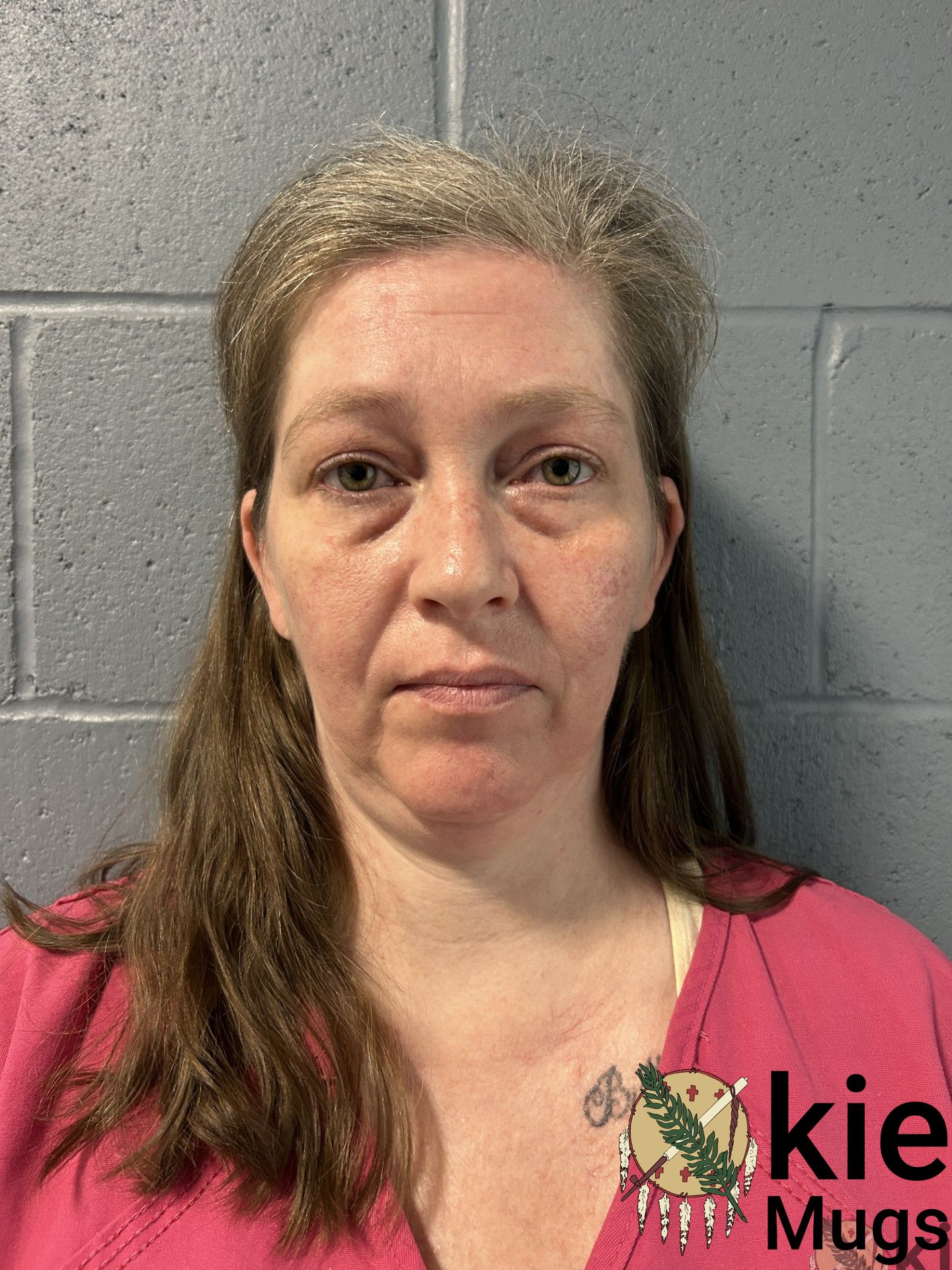 Booking photo of MEGAN HODGES