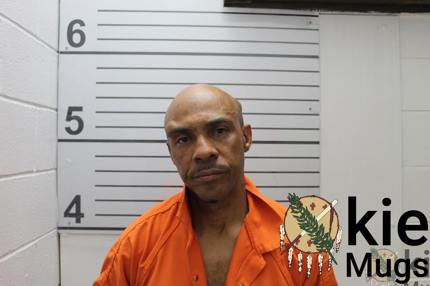 Booking photo of Martinec Milo Owens