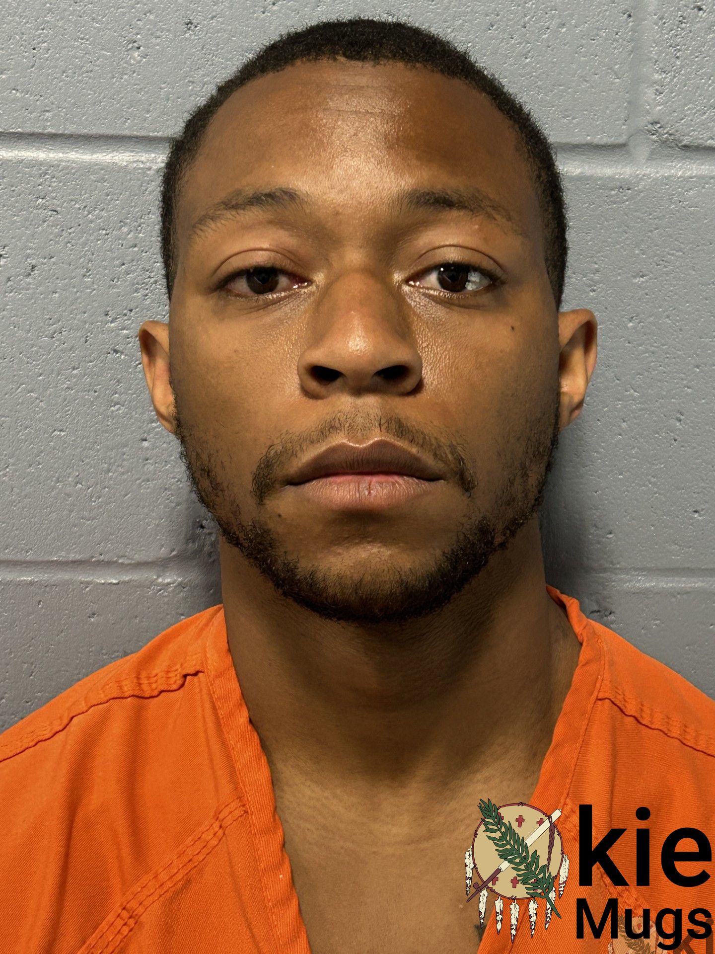 Booking photo of Dmonni Odom