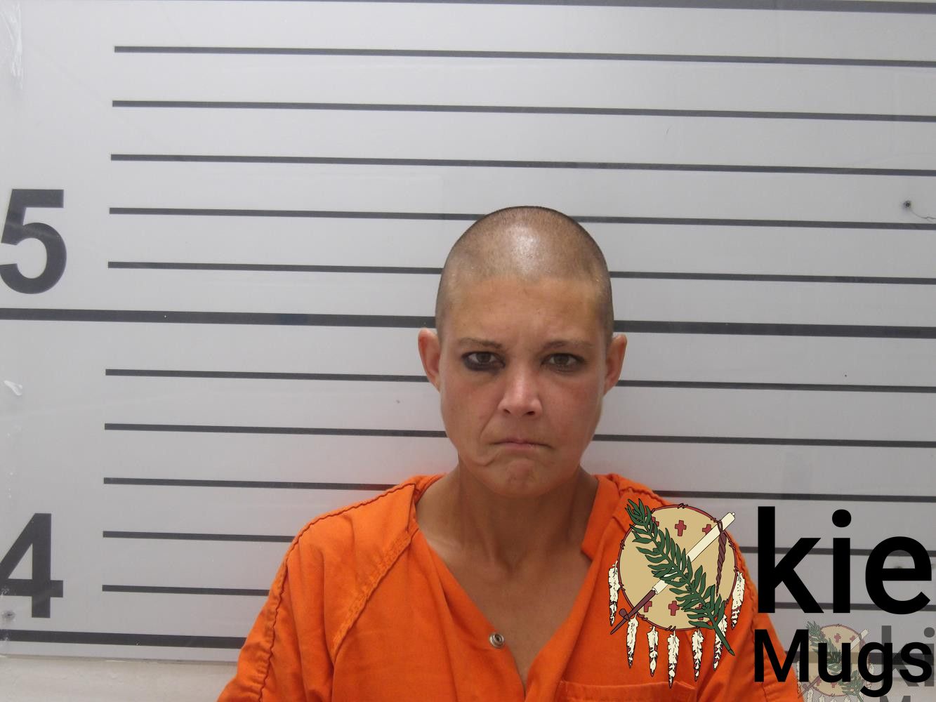 Booking photo of April J Collins