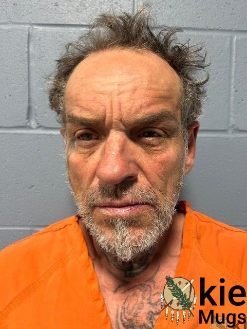 Booking photo of LEE HEDMAN
