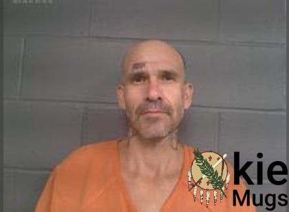 Booking photo of Brandon Eugene Feeling