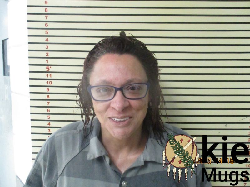 Booking photo of SHERI EDWARDS