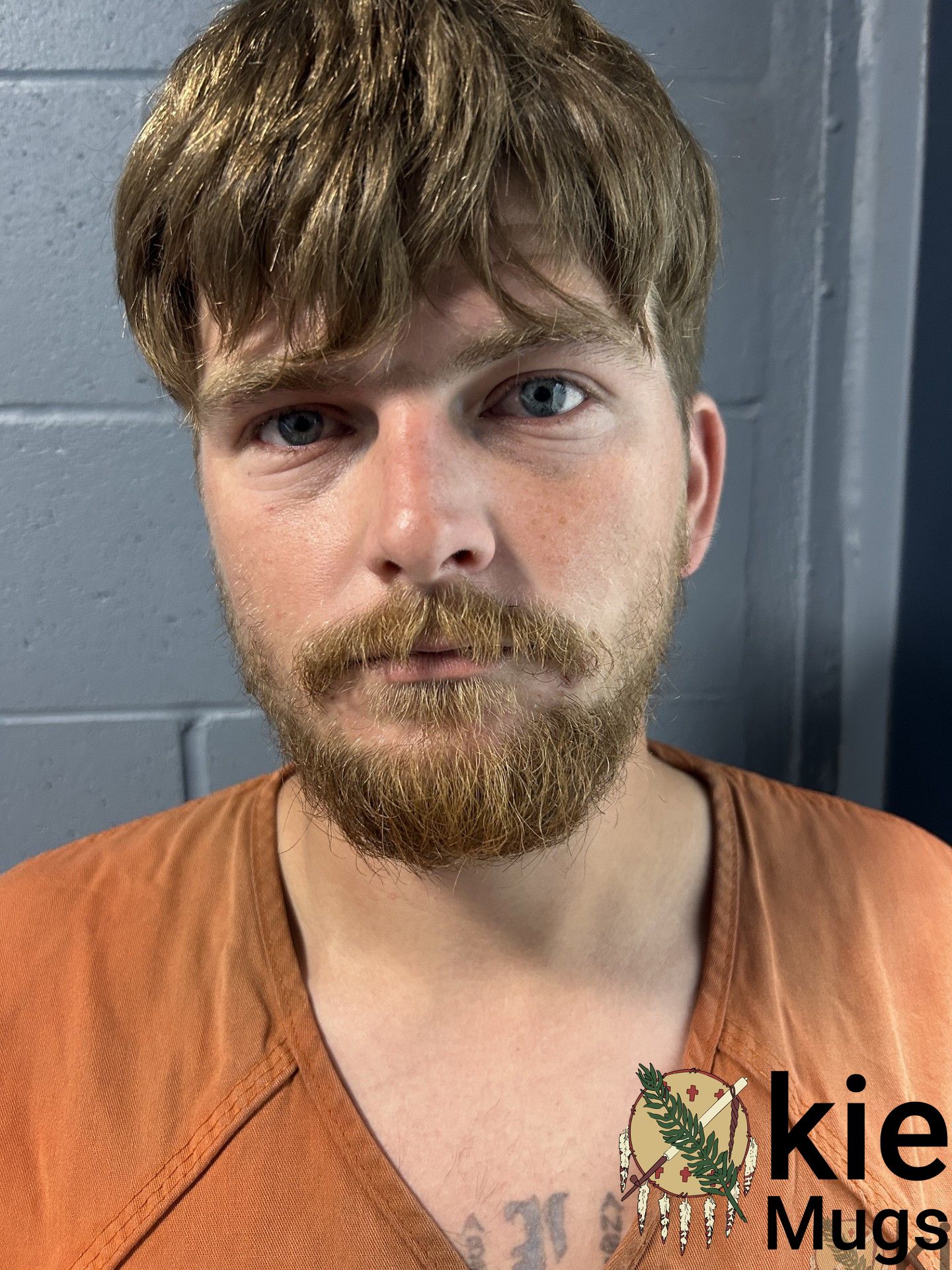 Booking photo of Trenton Ellis