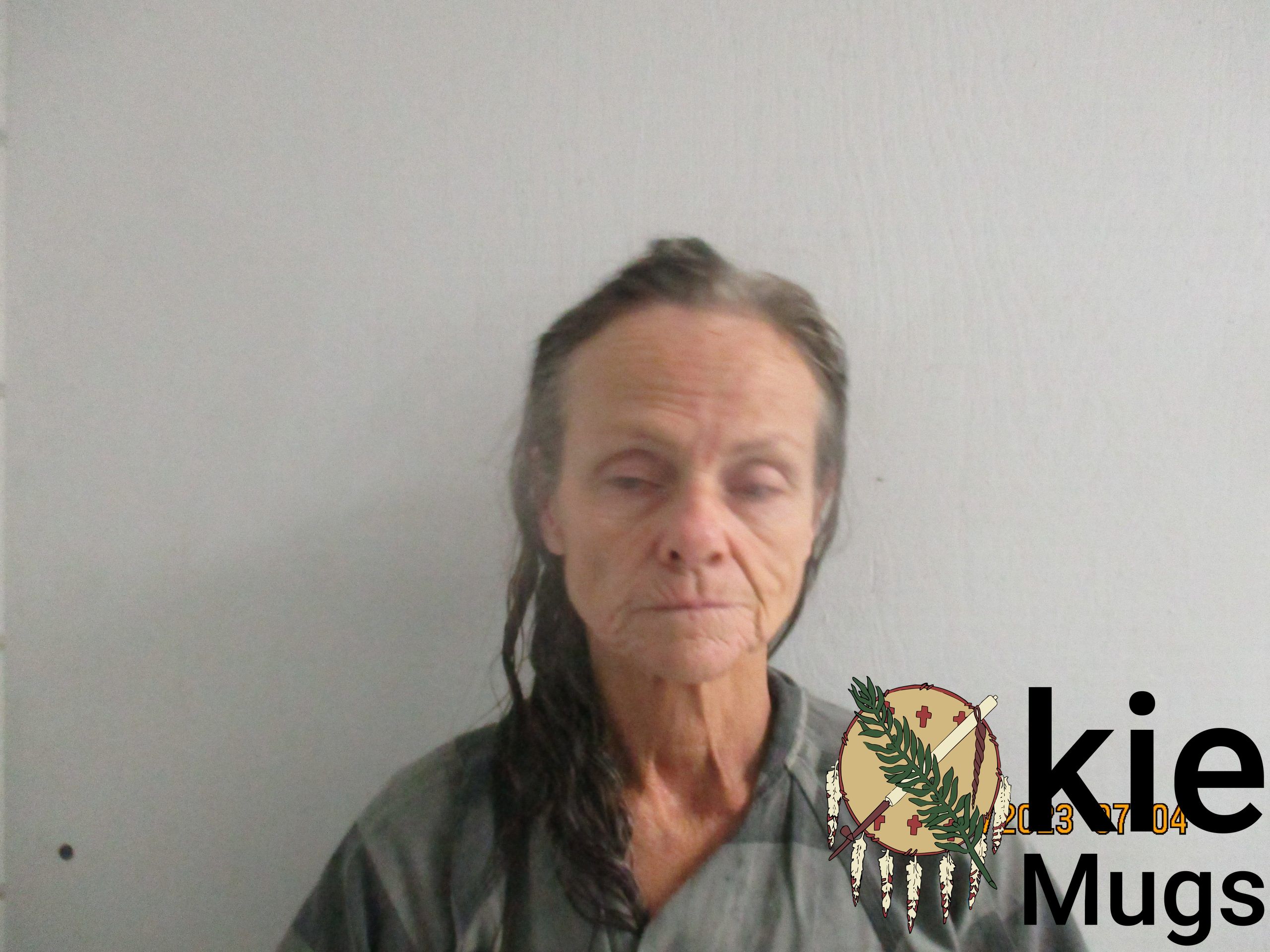 Booking photo of ANNETTE LUNDY