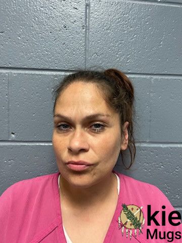 Booking photo of APRIL HANKS