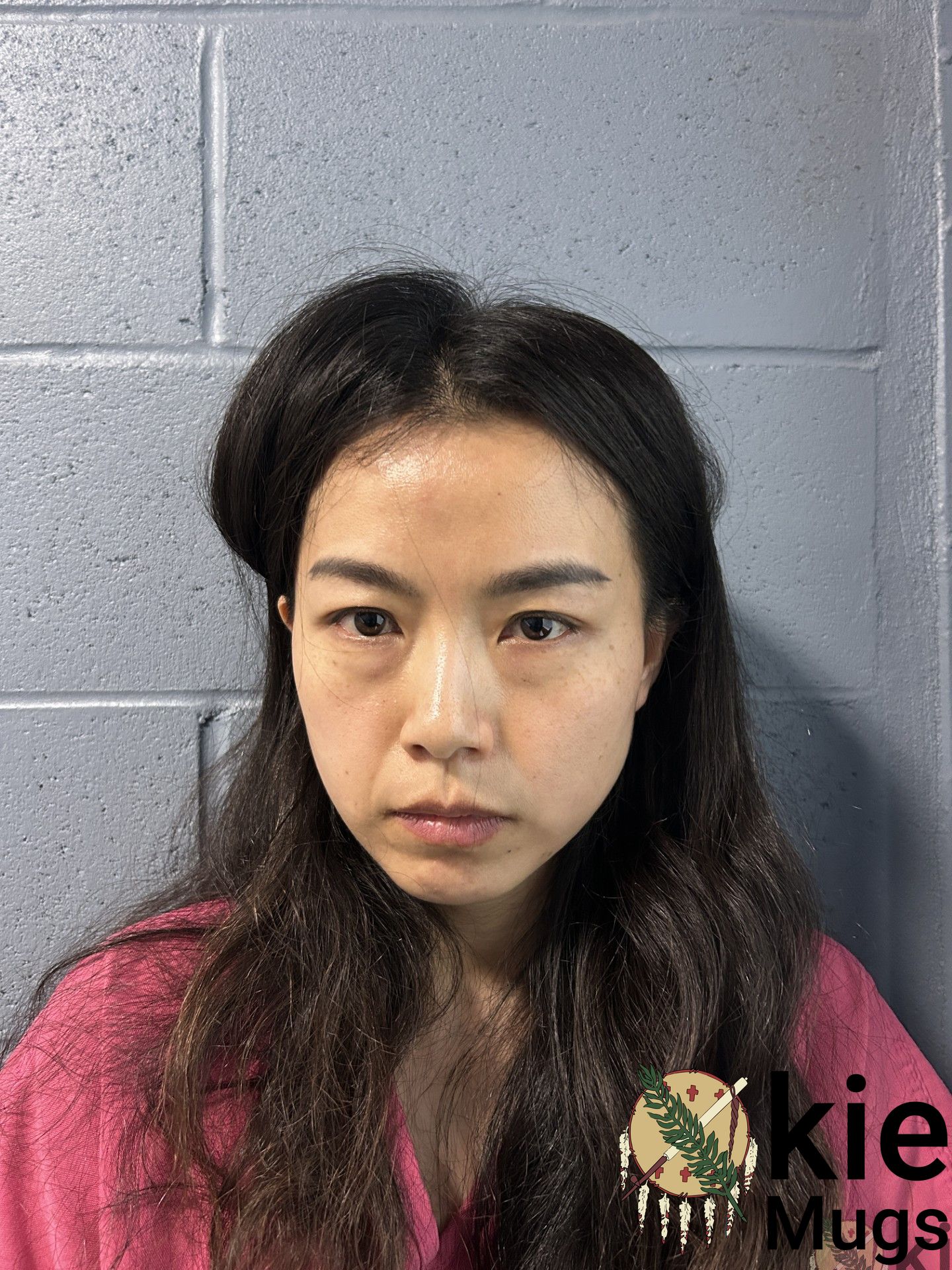 Booking photo of XIUFENG LIN