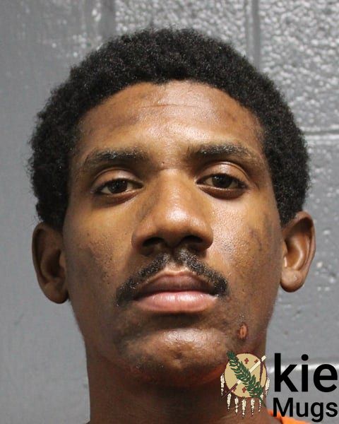 Booking photo of Allan Travell Hudson