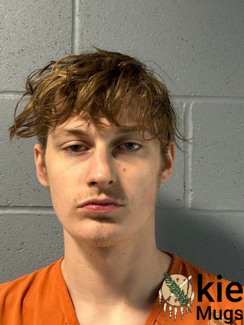 Booking photo of NATHAN BRASHERS