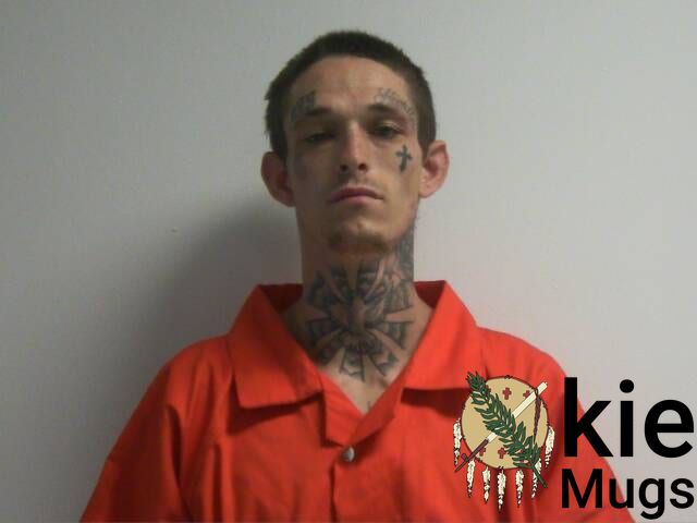 Booking photo of Cameron Tyce Wedlin