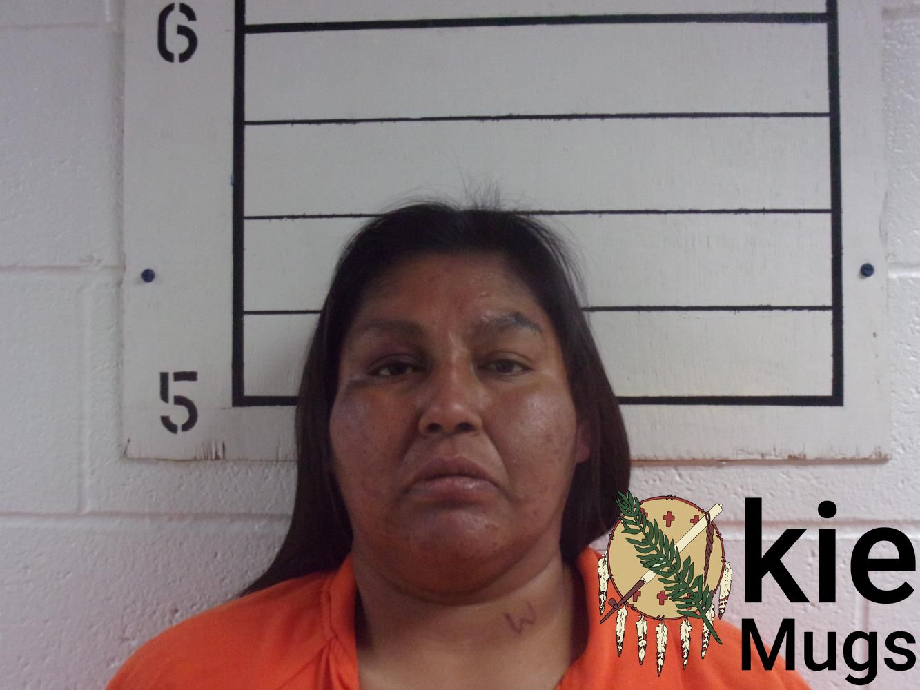 Booking photo of SHANNON D. HARJO