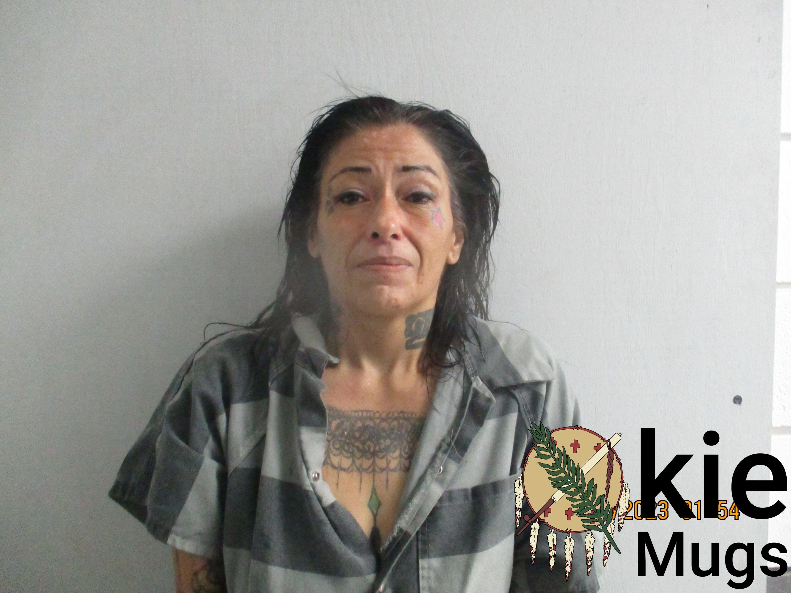Booking photo of VERONICA GOZALES