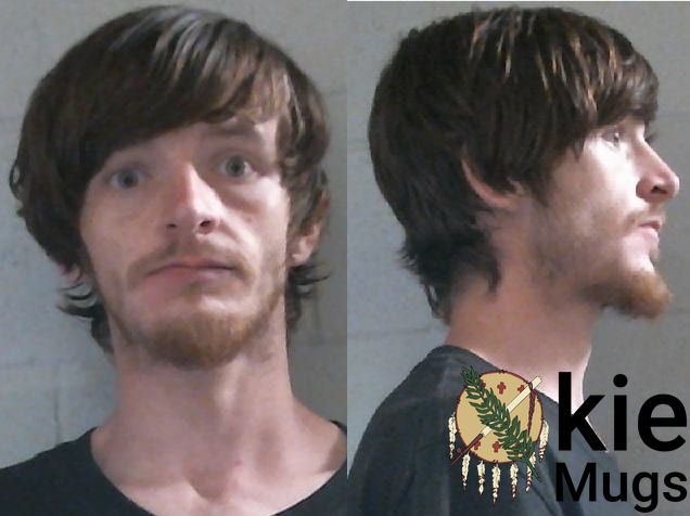 Booking photo of Ronnie Lynn Williams